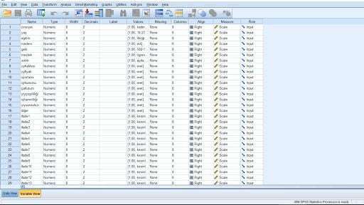 Tezde SPSS veri analizi yapmak