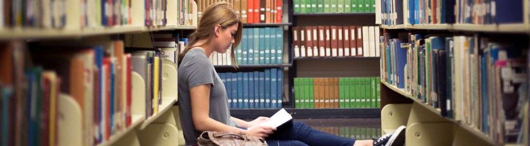 Tez istatistik analiz aşaması