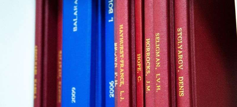 Dönem projesi yazım ilkeleri nelerdir?