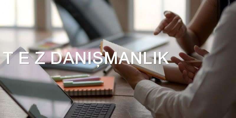 Tez Hazırlama Danışmanı