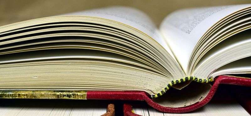 İnsan Kaynakları Tezi Hazırlama