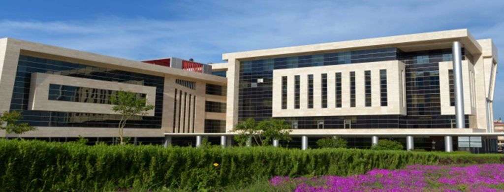 Hatay Üniversite Tezleri Hazırlama Düzenleme Yardımı