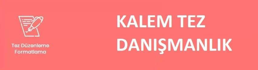 En İyi Tez Düzeltme Ofisi