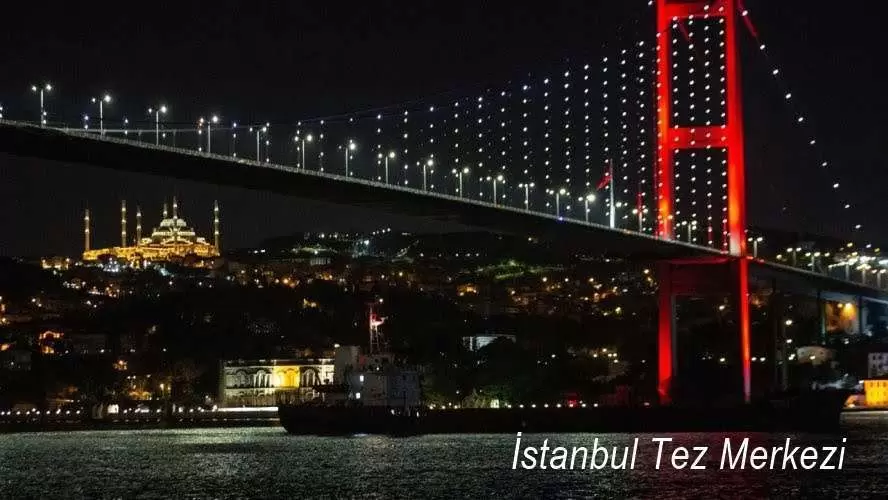 İstanbul Tez Yazdırma Hizmetleri