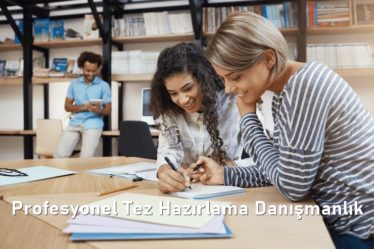 Profesyonel Tez Hazırlama Danışmanlık