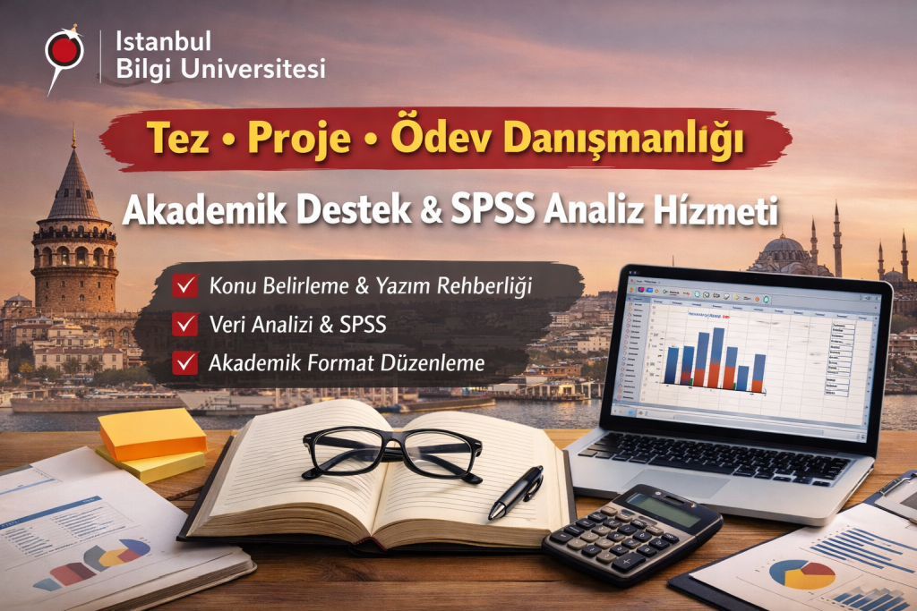 İstanbul Bilgi Üniversitesi Tez Hazırlama Danışmanlığı